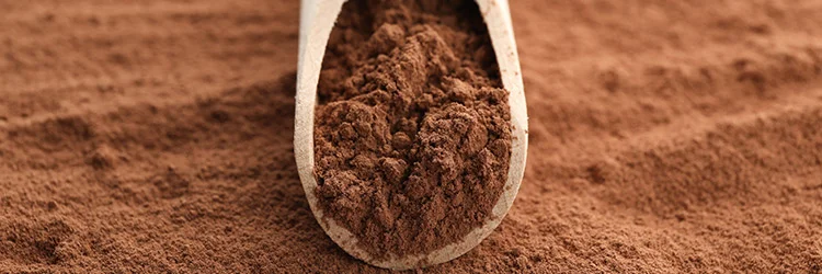 Cacao Alcalinizado
