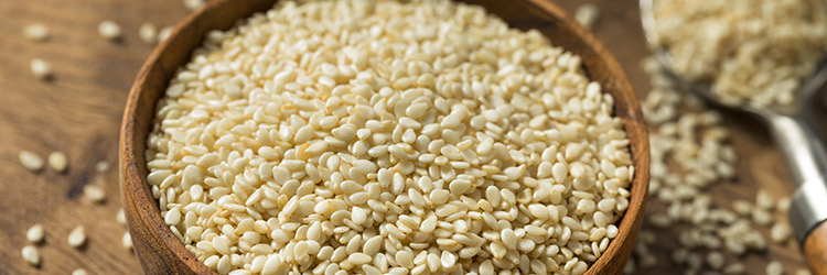 7 Critical Information You Need to Know When Buying Sesame Wholesale in 2024